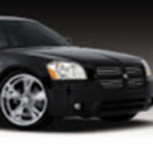 Meet your Posher, Owen